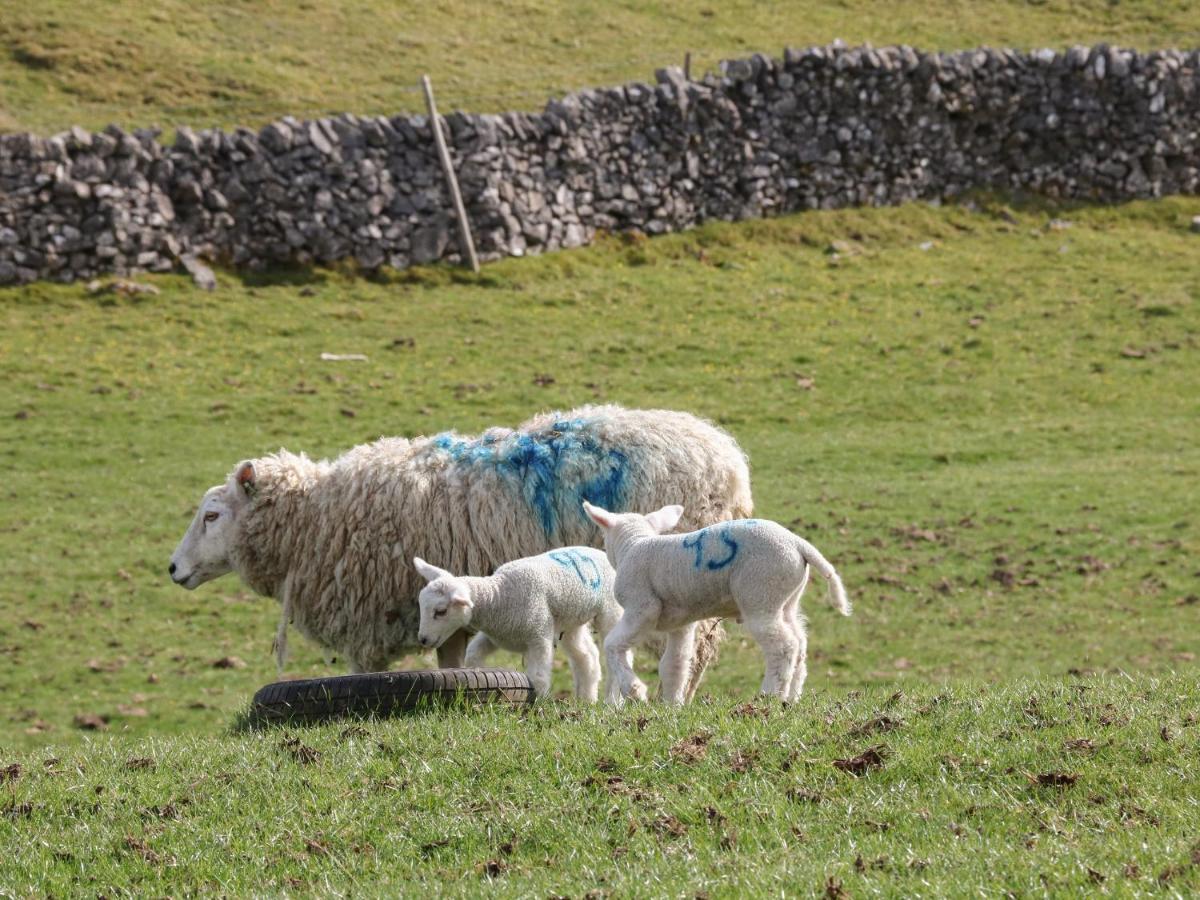 Shepherds Retreat Ashbourne  Buitenkant foto